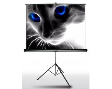 Экран на штативе Classic Crux 220x220 (T 213x213/1 MW-S0/B)
