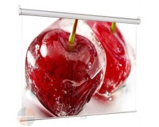 Viewscreen Scroll 180х180 (WSC-1102) купить в Минске
